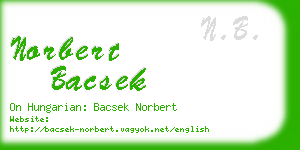 norbert bacsek business card